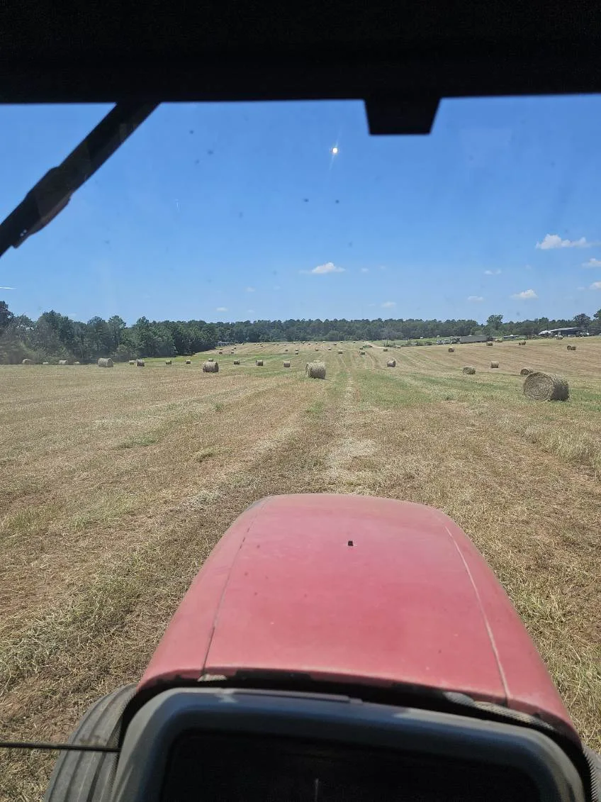 Finished round bales across an East Texas field